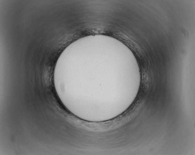 X0000112040030200908311245