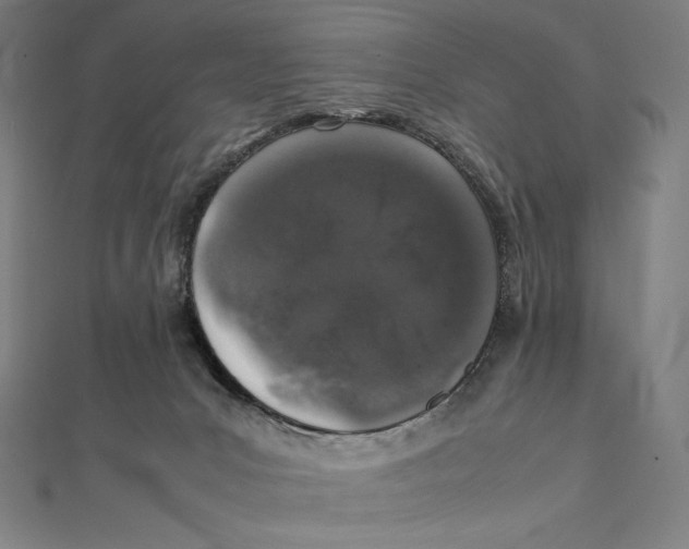 X0000112040031200908311245