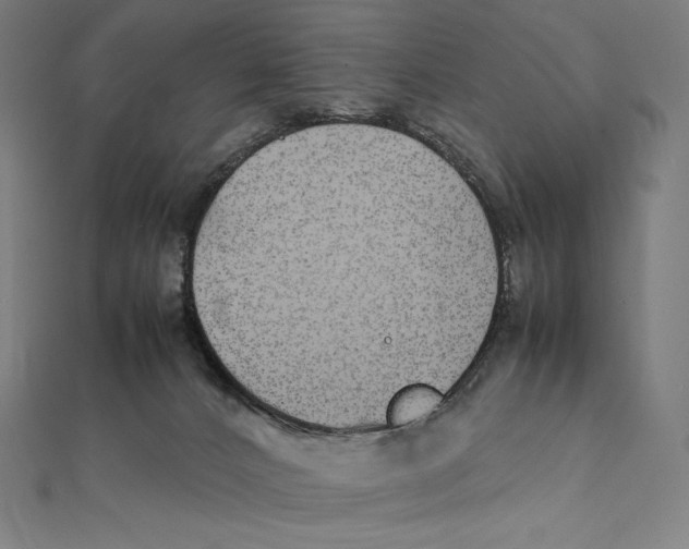 X0000112040032200908311245