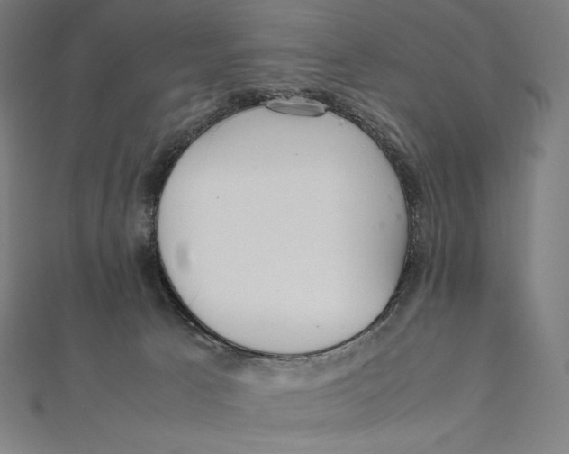 X0000112040033200908311245