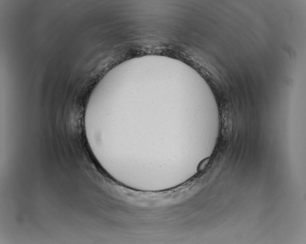 X0000112040034200908311245