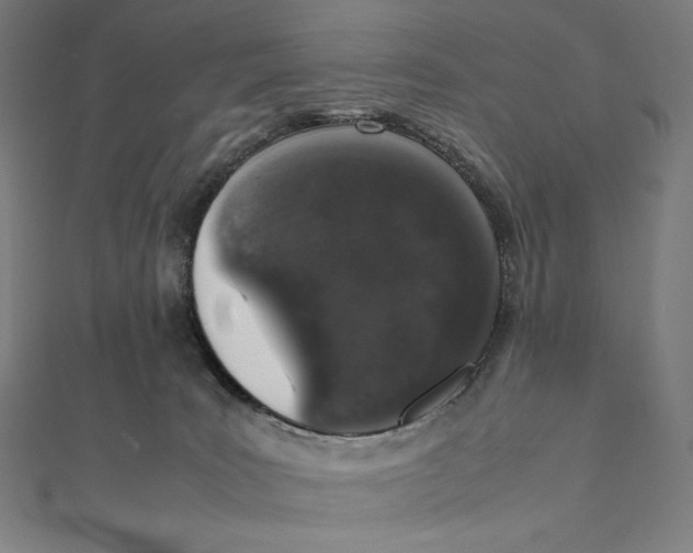 X0000112040035200908311245