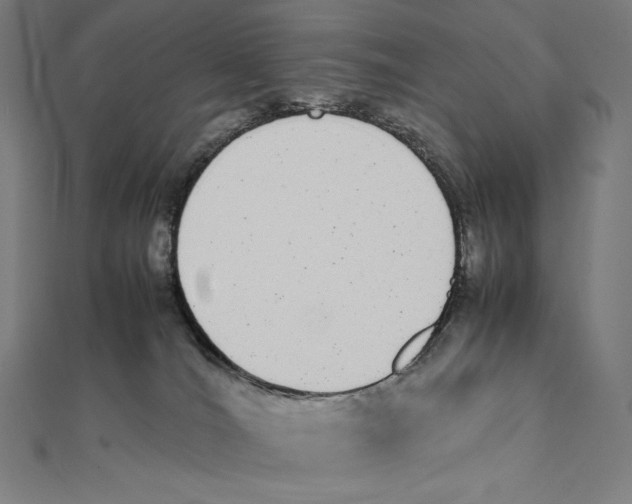 X0000112040036200908311245