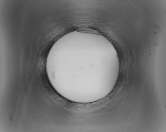 X0000112040037200908311245