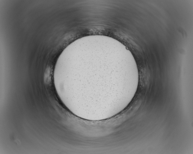 X0000112040038200908311245