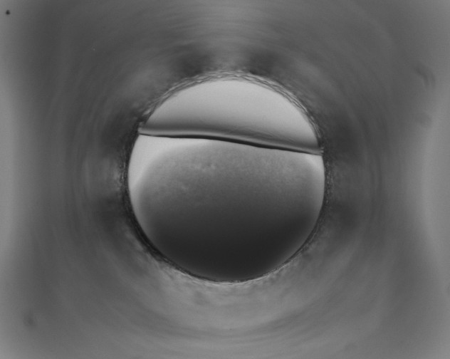 X0000112040039200908311245