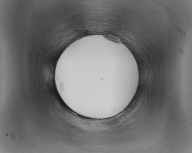 X0000112040040200908311245