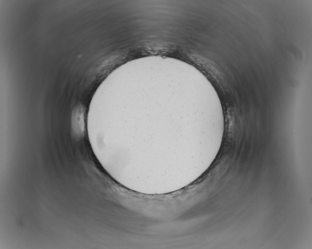 X0000112040042200908311245