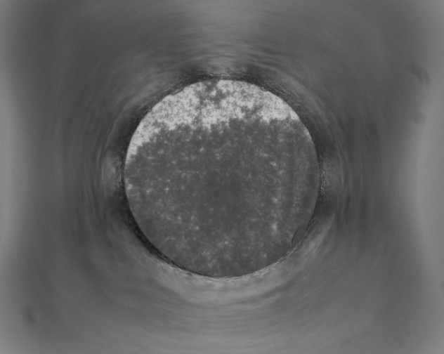 X0000112040043200908311245