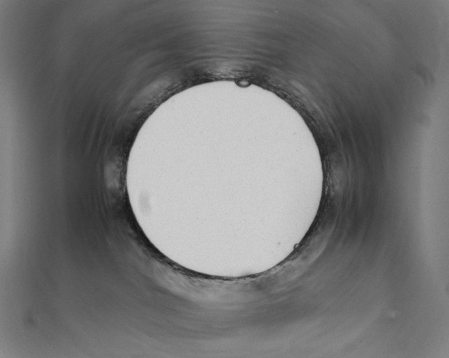 X0000112040044200908311245