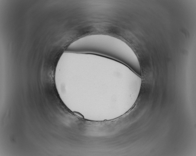 X0000112040045200908311245