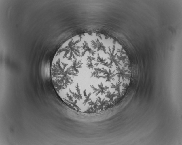 X0000112040046200908311245