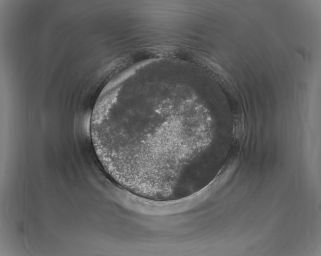 X0000112040047200908311245