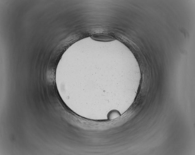 X0000112040048200908311245