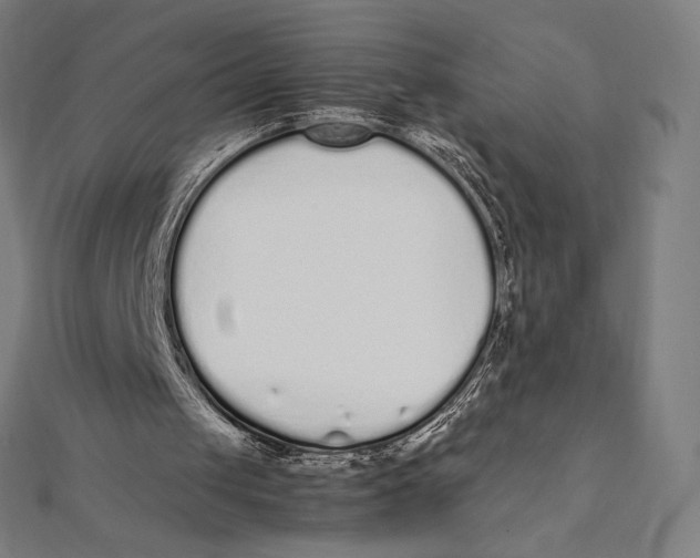 X0000112040049200908311244