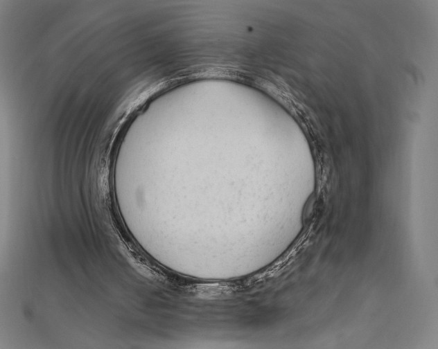 X0000112040050200908311244