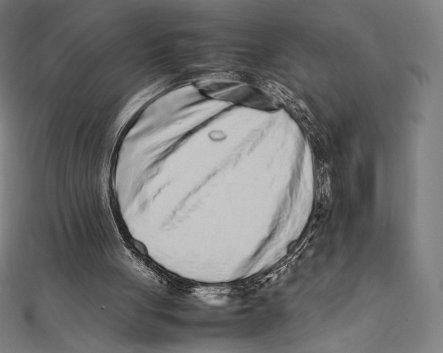 X0000112040051200908311244