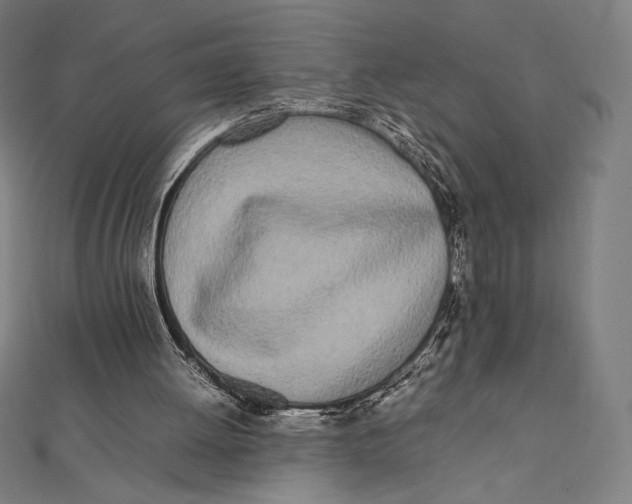 X0000112040052200908311244