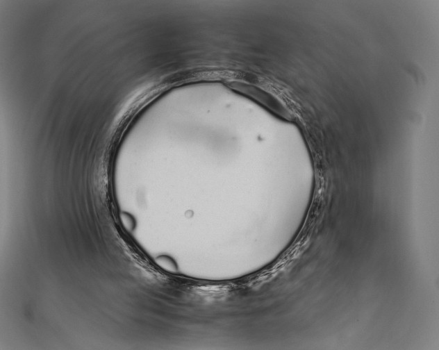 X0000112040053200908311244