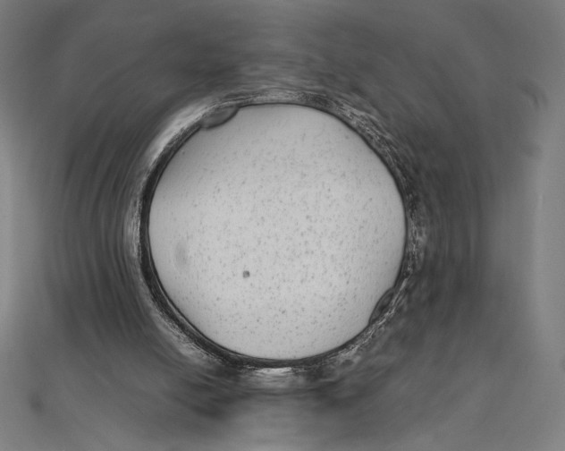 X0000112040054200908311244