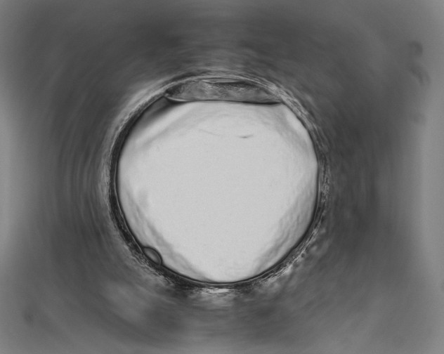 X0000112040055200908311244