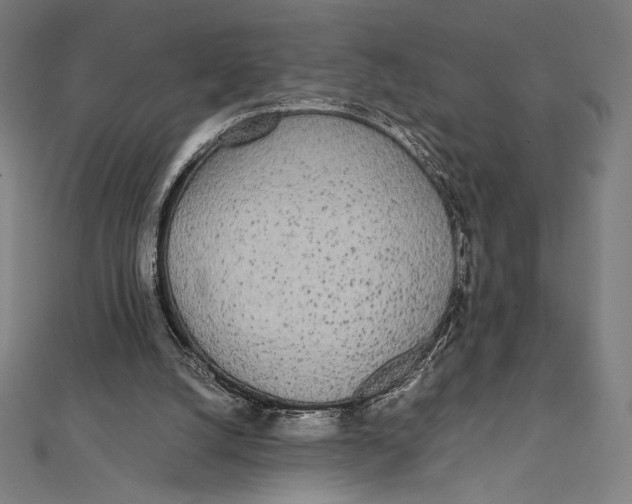 X0000112040056200908311244