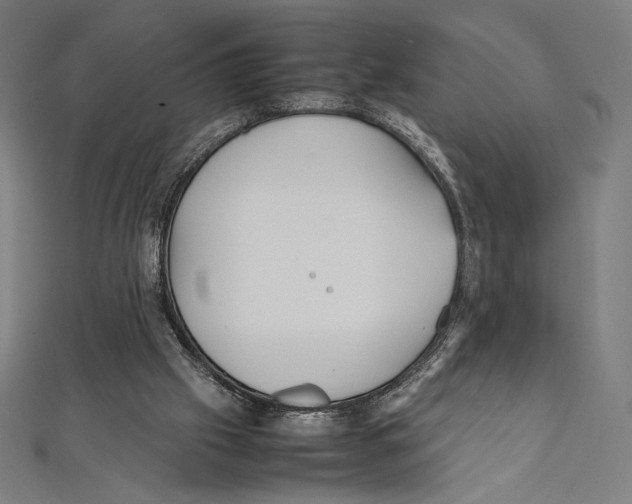 X0000112040057200908311244