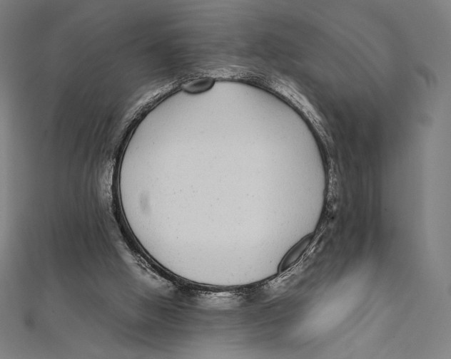 X0000112040058200908311245