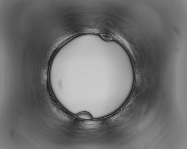 X0000112040059200908311245