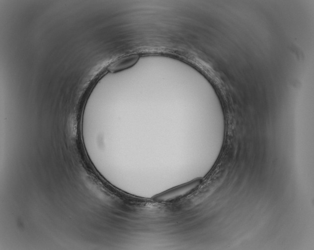 X0000112040060200908311245