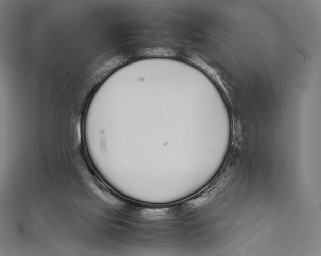 X0000112040061200908311245