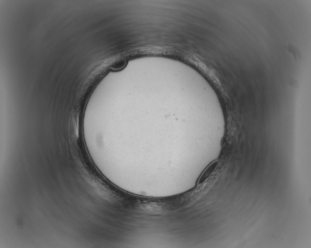 X0000112040062200908311245