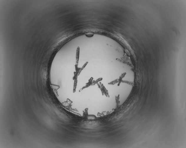 X0000112040063200908311245