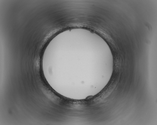 X0000112040064200908311245