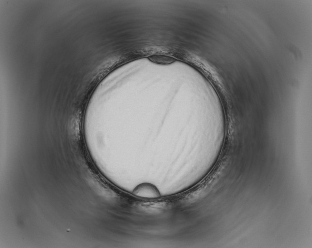 X0000112040065200908311245