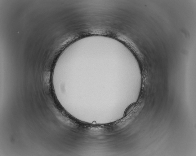 X0000112040066200908311245
