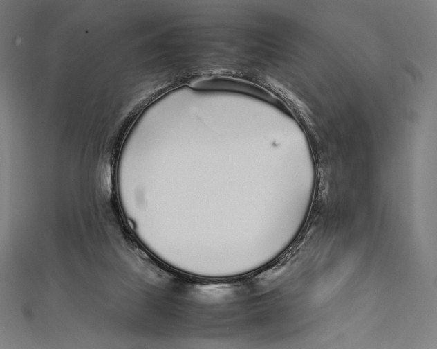 X0000112040067200908311245