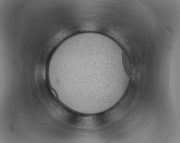 X0000112040068200908311245