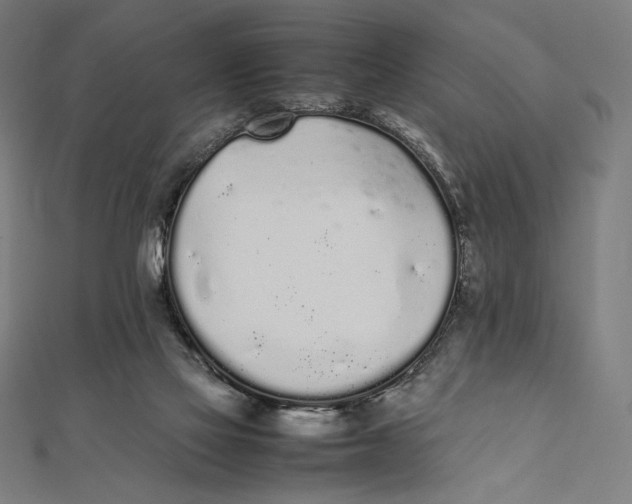 X0000112040069200908311245
