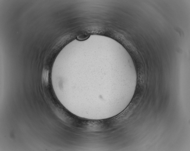 X0000112040070200908311245