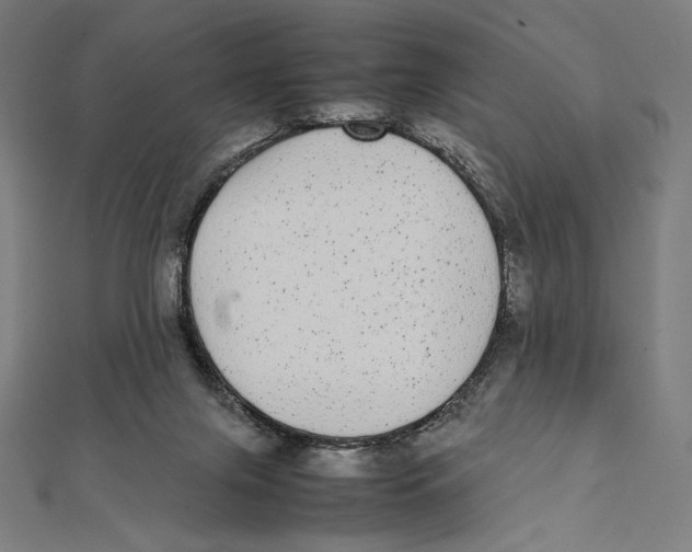 X0000112040071200908311245