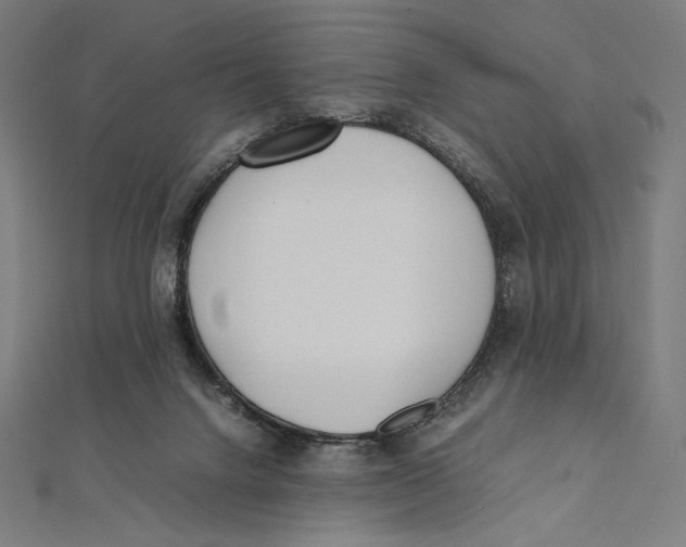 X0000112040072200908311245