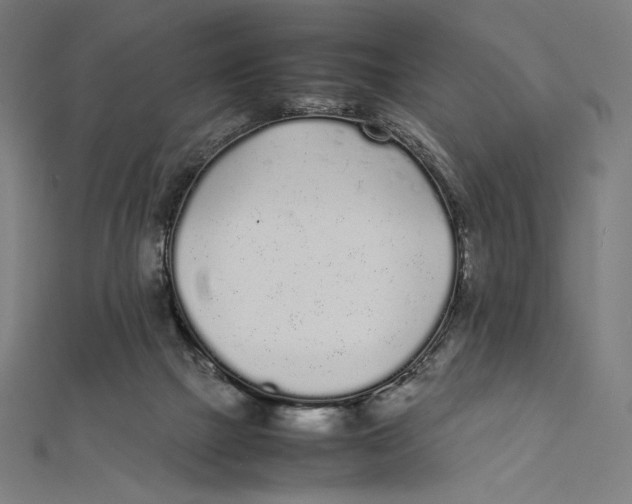 X0000112040073200908311245