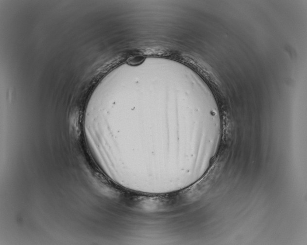 X0000112040074200908311245