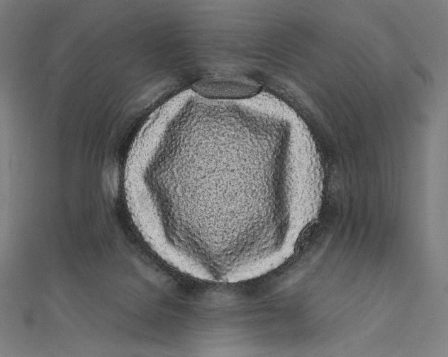X0000112040076200908311245