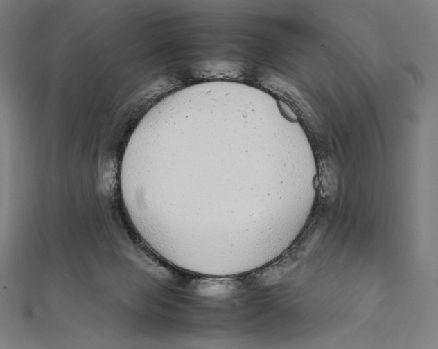 X0000112040077200908311245