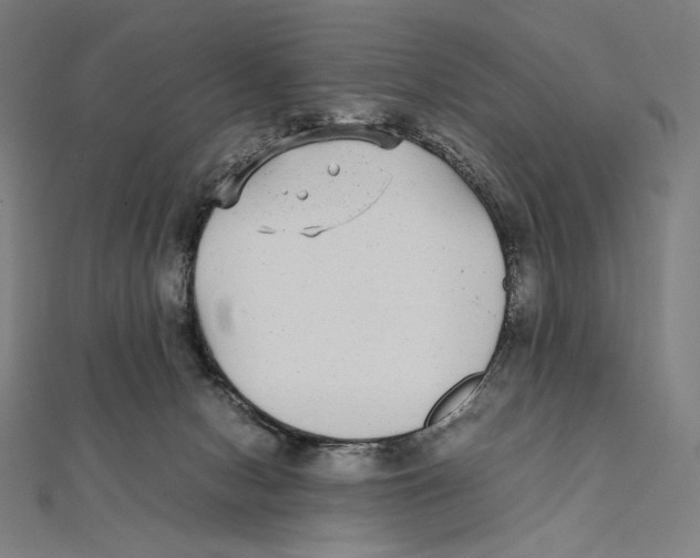 X0000112040078200908311245
