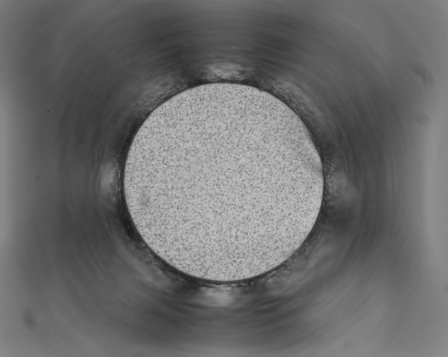 X0000112040079200908311245