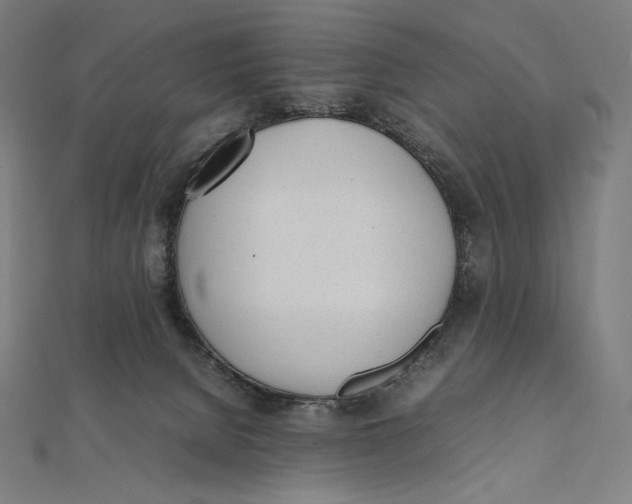 X0000112040080200908311245