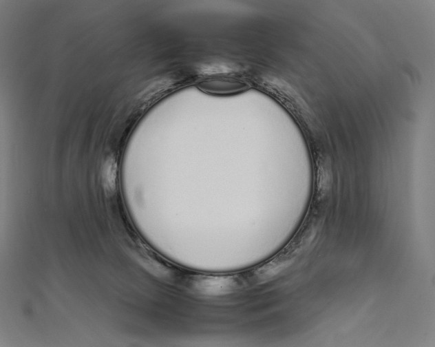 X0000112040081200908311245